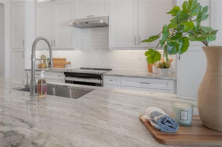 New construction Townhouse house 5530 N 9Th St, Unit 2, Tampa, FL 33604 - image 19