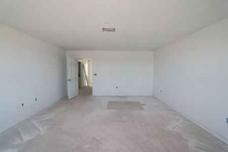 New construction Single-Family house 12176 Hilltop Farms Dr, Dade City, FL 33525 Malibu- photo 112 112