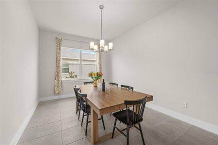 New construction Single-Family house 8612 Ivy Stark Blvd, Wesley Chapel, FL 33545 - image 9