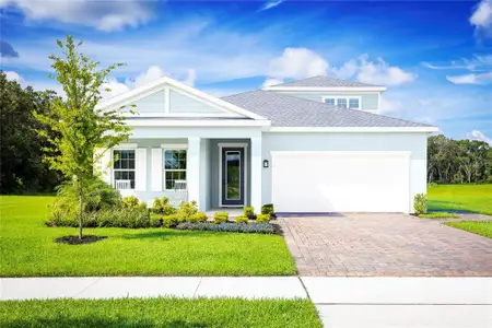 New construction Single-Family house 1100 Ocean Lodge Rd, Lady Lake, FL 32159 - image