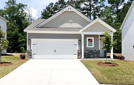 New construction Single-Family house 8076 Smooth Whiskey Cir, New Ellenton, SC 29809 plan Stella II - image
