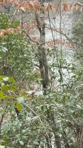 New construction Single-Family house Douglasville, GA 30187 - image