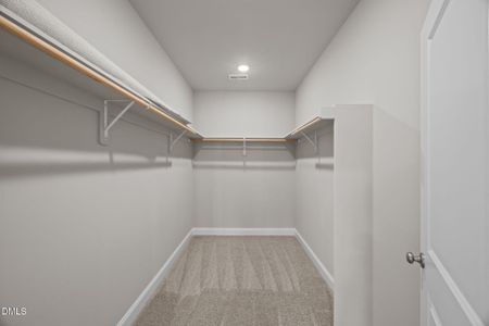 New construction Single-Family house 1218 Petite Terre Ct, New Bern, NC 28560 - image 11