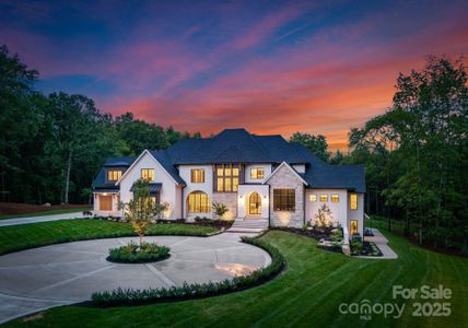 New construction Single-Family house 15037 June Washam Rd, Davidson, NC 28036 - image