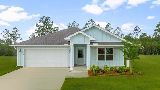 New construction Single-Family house 269 Cades Ct, Port Saint Joe, FL 32456 plan The Cali - image