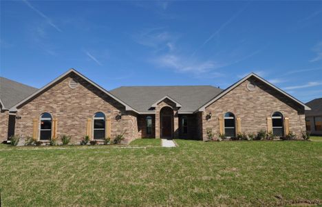 New construction Single-Family house 3703 Pedregal Rd, League City, TX 77539 - image