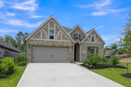 New construction Single-Family house 348 Rockrose Path, Willis, TX 77318 plan 2169W - image