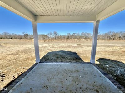 New construction Single-Family house 313 Creeks Edge Dr, Pikeville, NC 27863 - image