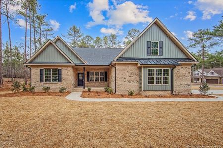 New construction Single-Family house 28940 Pinedale Ct, Wagram, NC 28396 - image