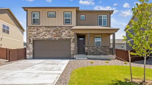 New construction Single-Family house 5962 Holstein Dr, Windsor, CO 80528 plan Bridgeport - image