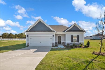 New construction Single-Family house 228 Double Barrel St, Lillington, NC 27546 Landen - photo 0 0