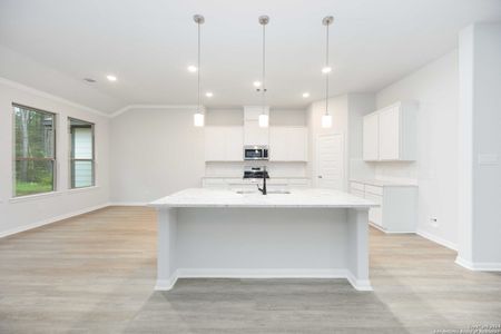 New construction Single-Family house 21149 Jordans Ranch Wy, San Antonio, TX 78264 Arlington- photo 8 8