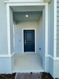 New construction Single-Family house 2665 Armstrong Ave, Clermont, FL 34714 plan Aspen - image 17