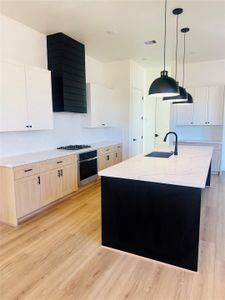 New construction Single-Family house 3136 Rd 66125, Dayton, TX 77535 - image 7