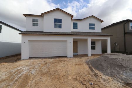 New construction Single-Family house 12168 Hilltop Farms Dr, Dade City, FL 33525 Malibu- photo 72 72