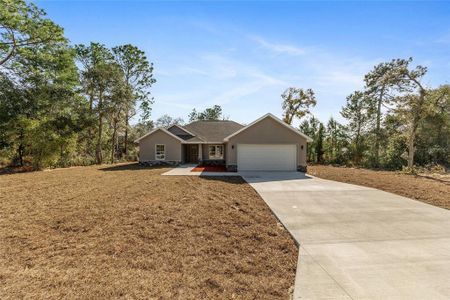 New construction Single-Family house 8106 N Voyager Dr, Citrus Springs, FL 34433 - image