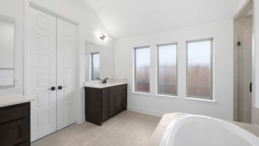 New construction Single-Family house 817 River Sky Rd, Lavon, TX 75166 plan 2545W - image 14