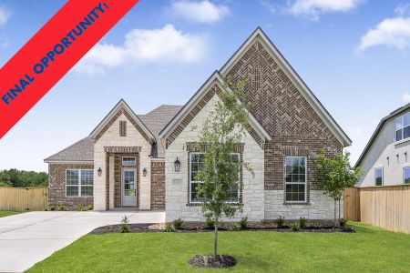 New construction Single-Family house 14000 Tinsley Trl, Manor, TX 78653 - image