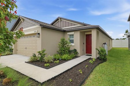 New construction Single-Family house 35298 Ackley Trce, Zephyrhills, FL 33541 - image