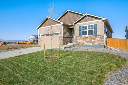 New construction Single-Family house 8644 E 132Nd Pl, Thornton, CO 80602 null- photo 2 2