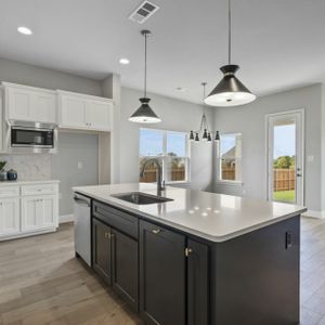 New construction Single-Family house 118 Harlan Ct, Aledo, TX 76008 null- photo 10 10