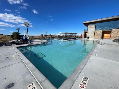 New construction Single-Family house 3303 Carabiner St, Castle Rock, CO 80108 - image