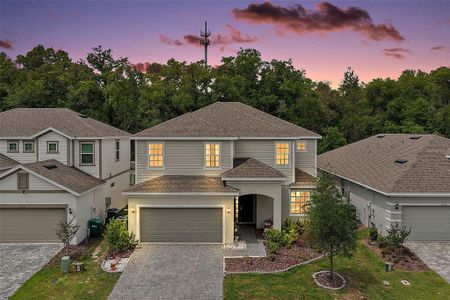 New construction Single-Family house 2341 Sirena Ln, Mount Dora, FL 32757 plan Wellington - image