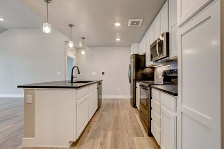 New construction Condo house 3425 Triano Creek Dr, Unit 101, Loveland, CO 80538 plan Princeton - image 8