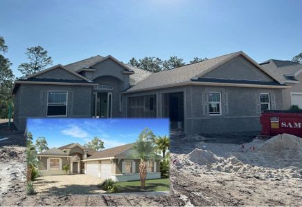 New construction Single-Family house 1665 Lake Reserve Dr, Deland, FL 32724 Plan Unknown- photo 6 6