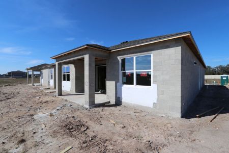 New construction Single-Family house 3150 Adams Cross Dr, Zephyrhills, FL 33540 Miranda- photo 28 28