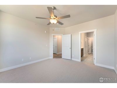 New construction Single-Family house 6793 Maple Leaf Dr, Unit 202, Timnath, CO 80547 plan Monarch - image 19