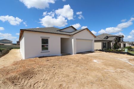 New construction Single-Family house 12193 Hilltop Farms Dr, Dade City, FL 33525 Sentinel- photo 27 27