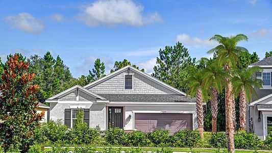 New construction Single-Family house 33314 Castaway Lp, Wesley Chapel, FL 33543 null- photo 0