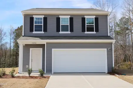 New construction Single-Family house 1430 Pond Overlook Dr, Nashville, NC 27856 - image