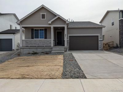 New construction Single-Family house 961 Sandhills St, Windsor, CO 80550 Alexandrite- photo 0