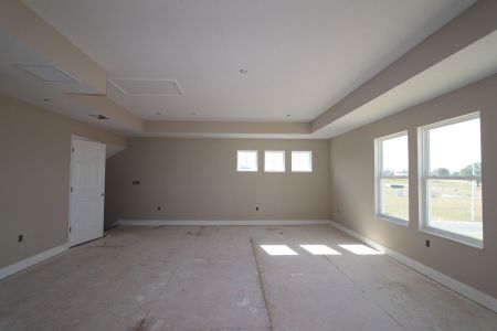 New construction Single-Family house 38357 Palomino Dr, Dade City, FL 33525 Picasso Bonus- photo 8 8