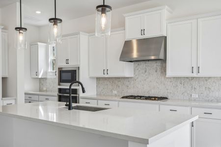 New construction Single-Family house 213 Borrego Bnd, Liberty Hill, TX 78642 plan Parmer - image 9