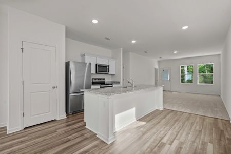 New construction Single-Family house 7629 Desert Viper, San Antonio, TX 78253 plan Sterling - image 9