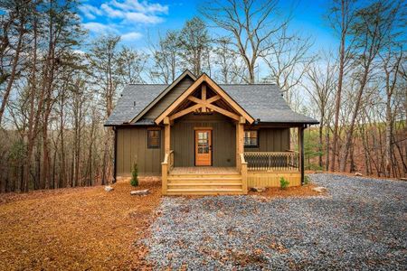 New construction Single-Family house 2393 Ada St, Blue Ridge, GA 30513 - image