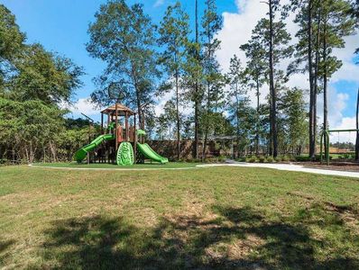 New construction Single-Family house 40423 Gerygone Ln, Magnolia, TX 77354 Darlington- photo 5 5