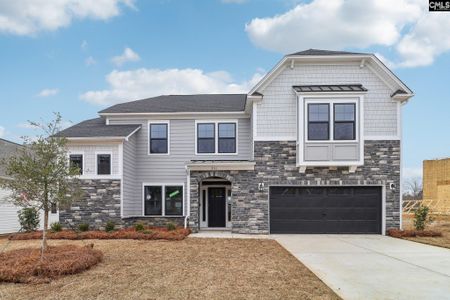 New construction Single-Family house 283 Murray Falls Ln, Chapin, SC 29036 - image