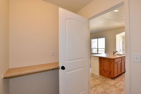 New construction Single-Family house 437 Vivid Ln, Windsor, CO 80550 null- photo 21 21