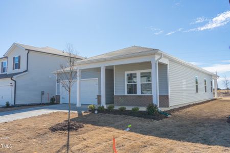 New construction Single-Family house 483 White Birch Ln, Angier, NC 27501 Chandler- photo 2 2