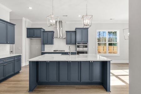 New construction Single-Family house 141 Rickys Path, Easley, SC 29642 plan Patterson II - image 5