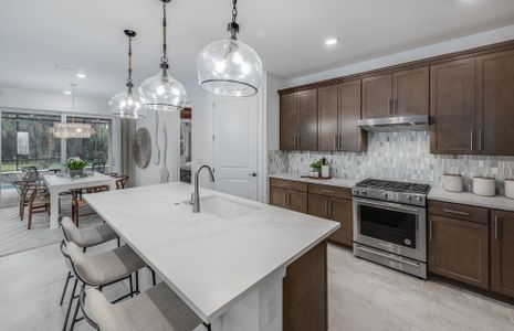 New construction Single-Family house 12532 Quartz Dr, Alva, FL 33920 plan Mystique - image 12