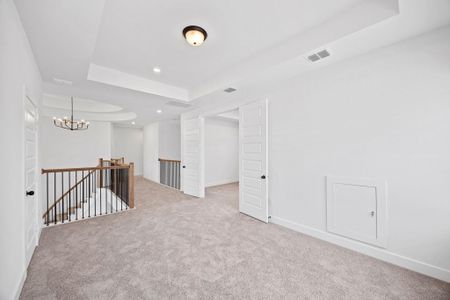 New construction Single-Family house 537 Tonada Cv, Liberty Hill, TX 78642 plan The Collins - image 16