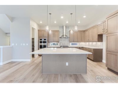 New construction Single-Family house 1765 Peak Lp, Broomfield, CO 80023 null- photo 31 31