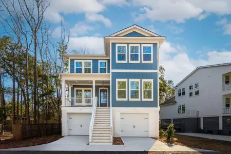 New construction Single-Family house 3653 Pandora Dr, Mount Pleasant, SC 29466 - image