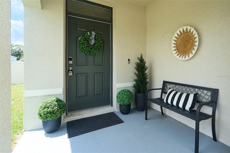 New construction Single-Family house 10826 Trailing Vine Dr, Tampa, FL 33610 null- photo 9 9