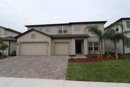 New construction Single-Family house 5032 Bromeliad Ave, Wimauma, FL 33598 Dali- photo 110 110